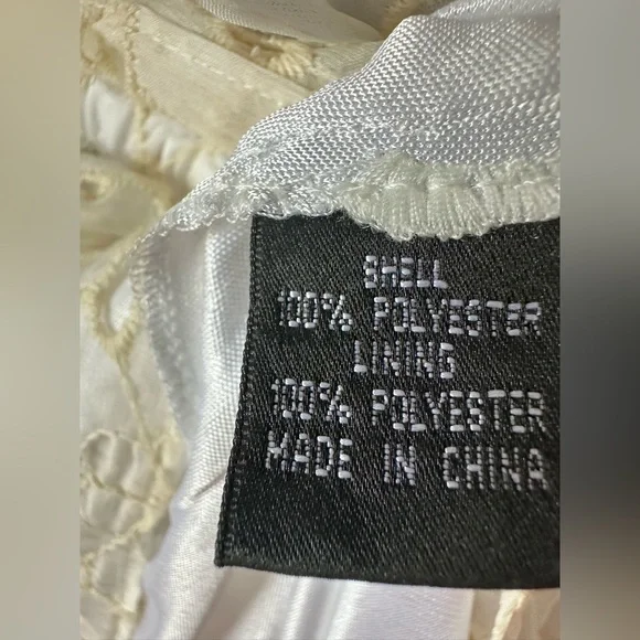 Adrianna Papell - Elegant Cream Lace Dress - Picture 6 of 10